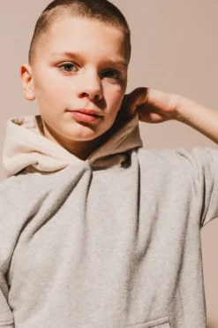 Labo de Colores Truien & Vesten | Truien & Vesten^Hoodie Paz | Grey melee light |