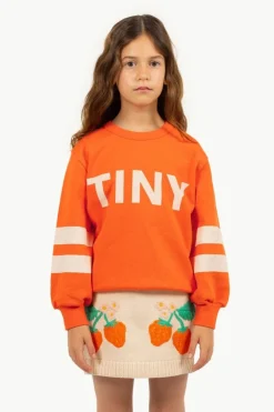 Tinycottons Truien & Vesten | Truien & Vesten^Stripes logo sweatshirt | Summer red |