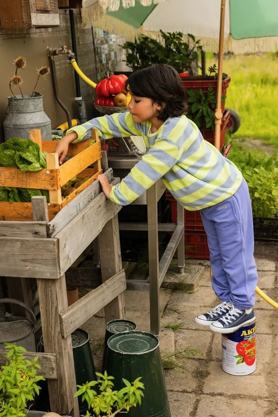 DAMES Sproet u0026 Sprout Co-ords | Co-ords^Sweat pants | Blue bell | Sproet & Sprout