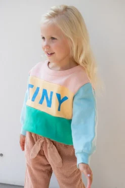 Tinycottons Truien & Vesten^Sweatshirt colourblock | Wild rose/emerald |