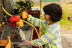 DAMES Sproet u0026 Sprout Co-ords | Co-ords^Sweatshirt Terry stripes | Citrus | Sproet & Sprout